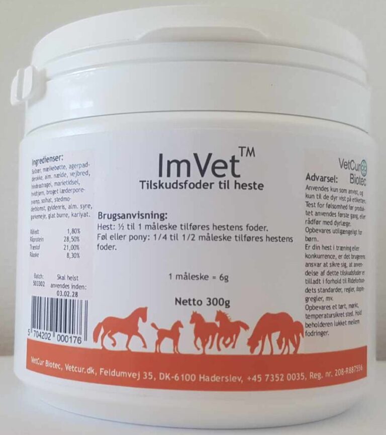 ImVet-Hest-e1747298642544