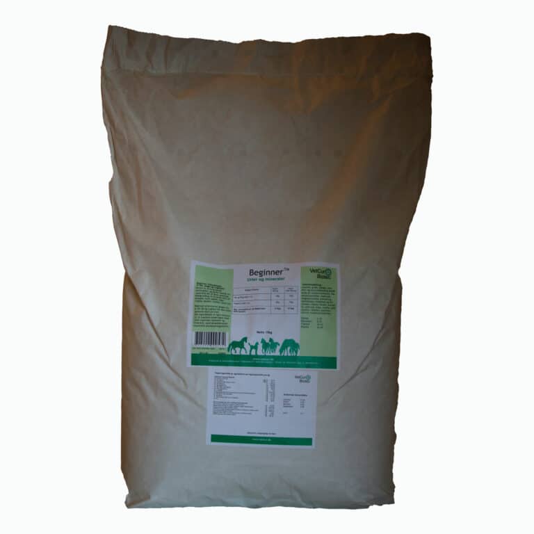 Beginner-Hest-15-scaled