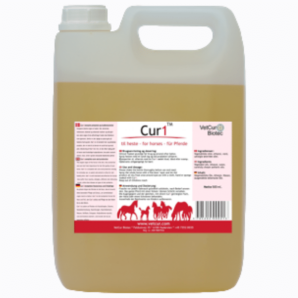 Cur1-Horse45-600x600