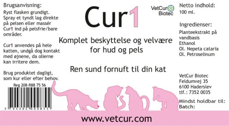 Cur1_kat