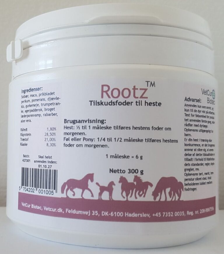 Rootz-Hest-e1747298292567